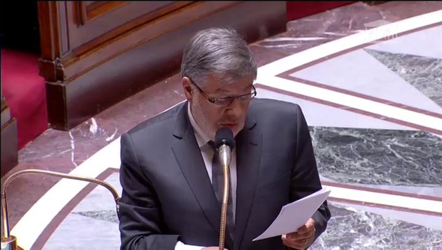 Algues sargasses en Martinique : A. Vidalies répond à une QAG