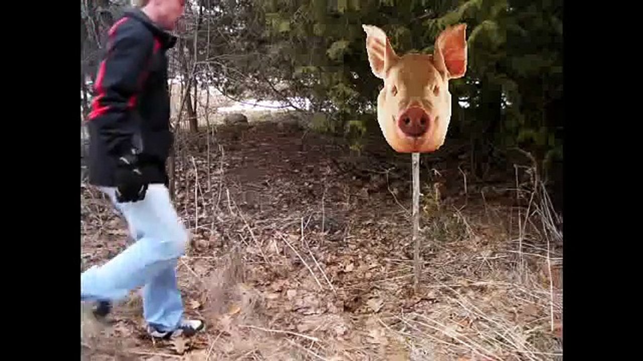 Lord of the Flies (School Project)