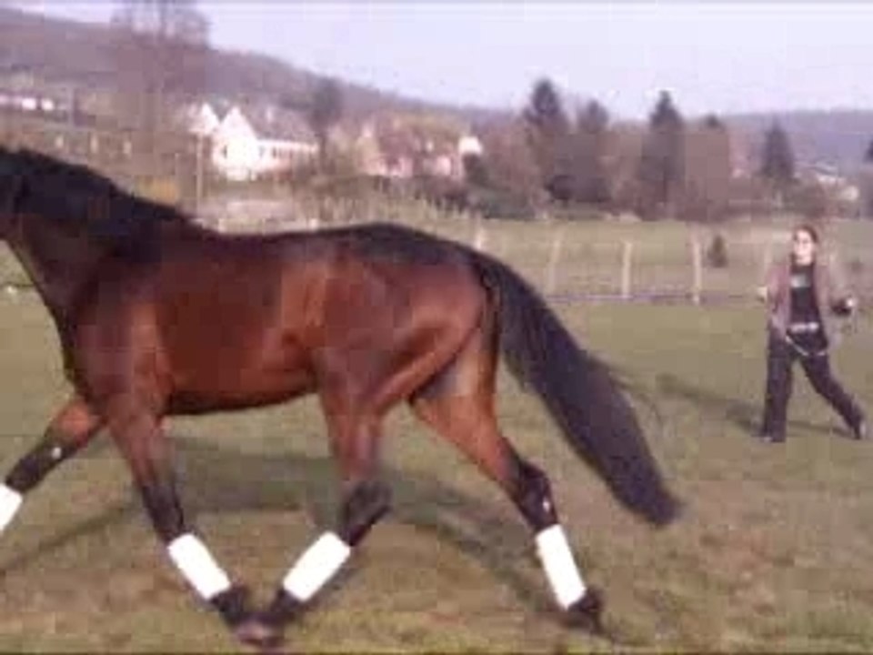 Quali longe 4