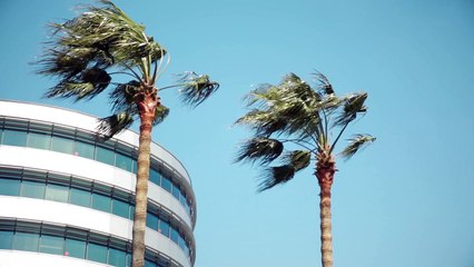 TELECOM VALLEY : Finale du Challenge Jeunes Pousses