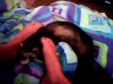 Knuckles the Cute Baby Ferret: Biting my Feet
