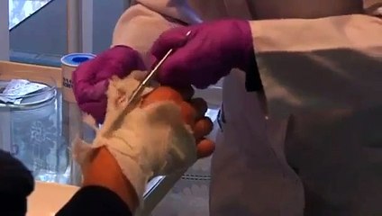 Women join separatists' fight for eastern Ukraine