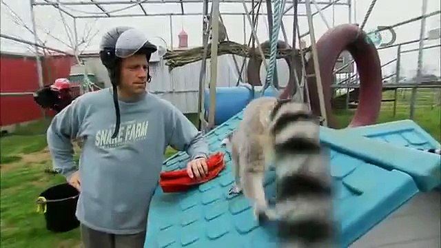 Dirty Jobs - Lemur Attacks Mike Rowe | Exotic Nanny