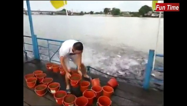 Fishes need some crazy feeding