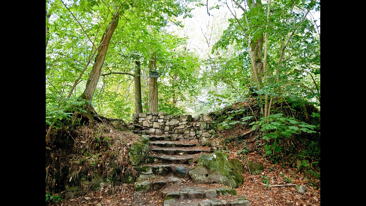 Boutique detection : détecteur de métaux