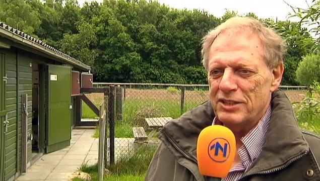 Reetje Wessel overleeft aanrijding en ziet levenslicht op het asfalt - RTV Noord