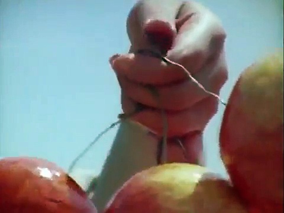 Fake Fruit Factory