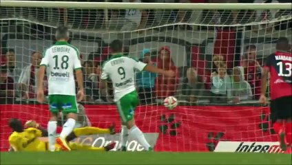 Les 8 buts de Mevlut Erding saison 2014/2015