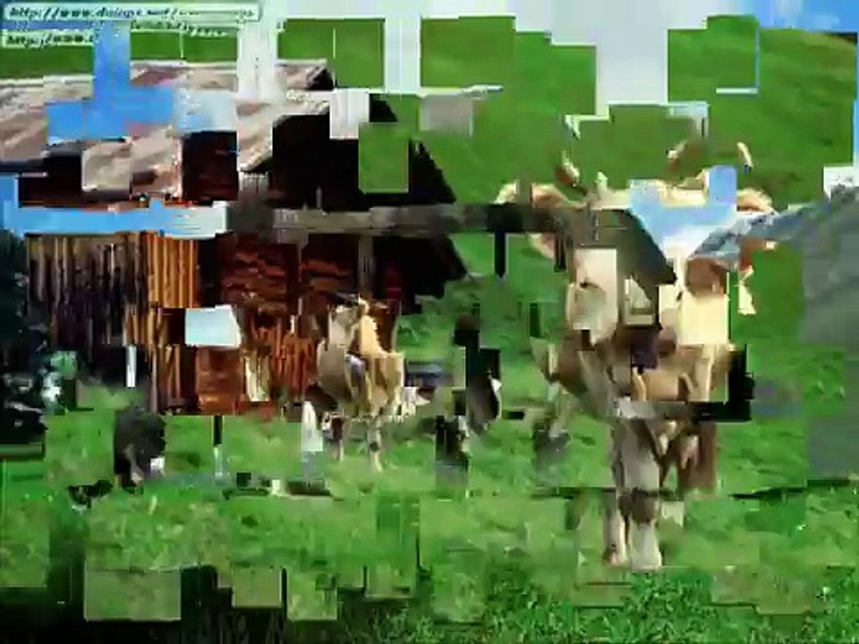 mi vaca lechera video de mono arcila adora la vaca lechera jajaja