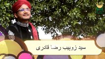 Mere Nabi Lajpaal Diyaan Kya Bata Nay HD Video Naat [2015] Syed Zuhaib Raza Qadri - New Naat - Naat Online