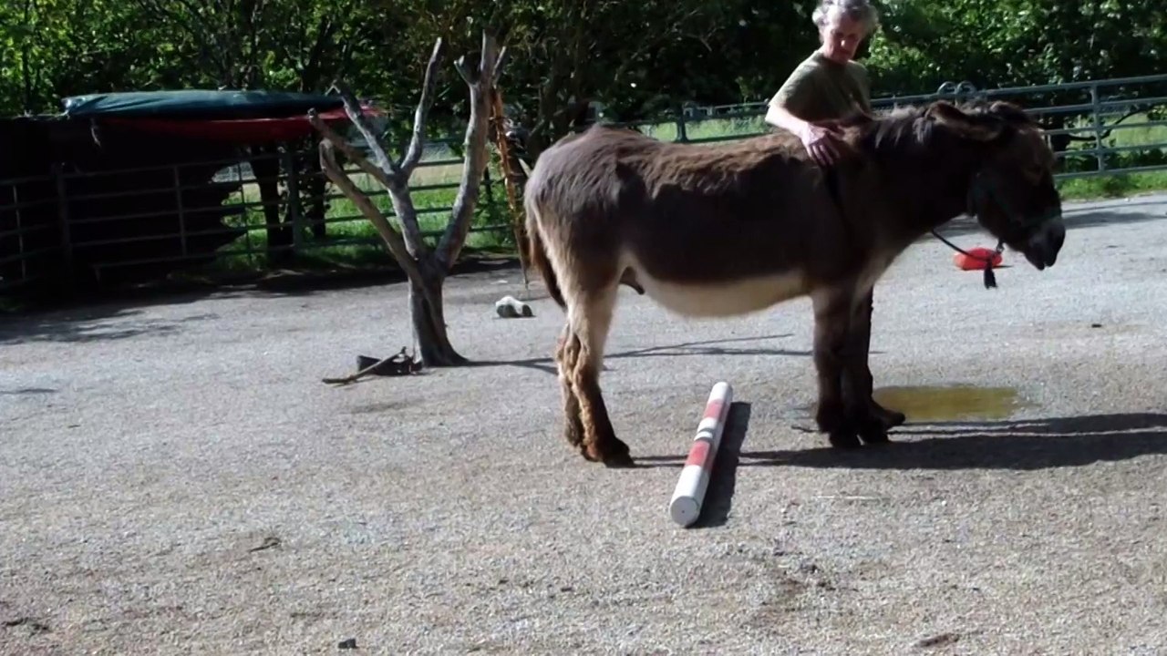 Exercice 11. Jouer sur une perche