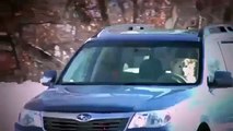 Carjam: Pt1/8 2011 Subaru Forester Snowball Commercial Lol Dogs Ad