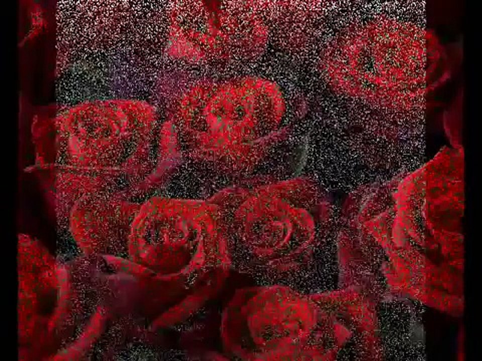 Mar de Copas - Entre los Arboles