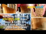 Bulk Wheat Flour, Bulk Wheat Flour, Bulk Wheat Flour, Bulk Wheat Flour, Bulk Wheat Flour, Bulk Wheat Flour, Bulk Wheat F
