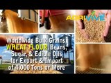 Wheat Flour Import, Wheat Flour Import, Wheat Flour Import, Wheat Flour Import, Wheat Flour Import, Wheat Flour Import,