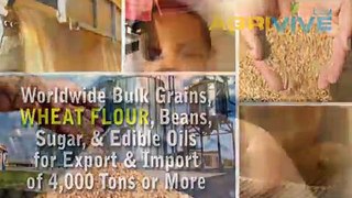 Wheat Flour Distribution, Wheat Flour Distribution, Wheat Flour Distribution, Wheat Flour Distribution, Wheat Flour Dist