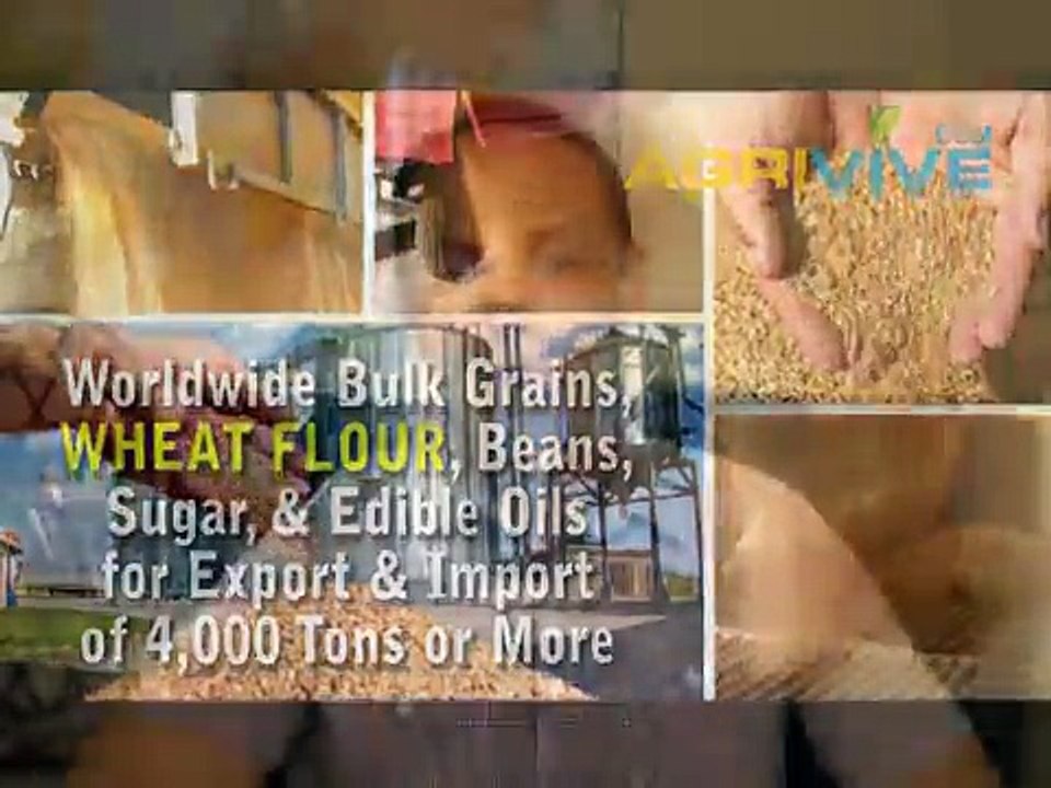 Bulk Wheat Flour Import, Wheat Flour Import, Wheat Flour Import, Wheat Flour Import, Wheat Flour Import, Wheat Flour Imp