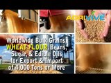 Bulk Wheat Flour Trade, Wheat Flour Trade, Wheat Flour Trade, Wheat Flour Trade, Wheat Flour Trade, Wheat Flour Trade, W