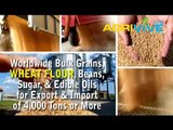Bulk Wheat Flour Distribution, Wheat Flour Distribution, Wheat Flour Distribution, Wheat Flour Distribution, Wheat Flour