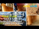American Wholesale Wheat Flour Export, Wheat Flour Export, Wheat Flour Export, Wheat Flour Export, Wheat Flour Export, W