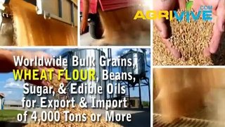 American Wholesale Wheat Flour Trade, Wheat Flour Trade, Wheat Flour Trade, Wheat Flour Trade, Wheat Flour Trade, Wheat
