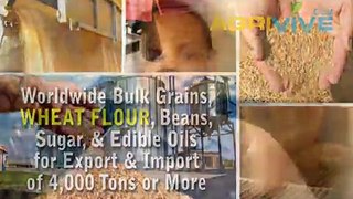 American Wholesale Wheat Flour Distribution, Wheat Flour Distribution, Wheat Flour Distribution, Wheat Flour Distributio