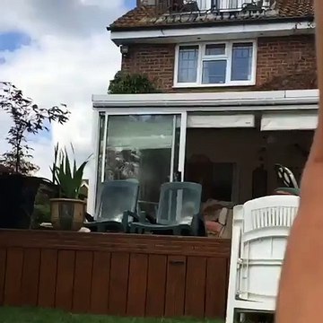 Spiderman : Tom Holland será el nuevo Peter Parker