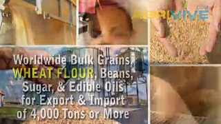 Buy USA Bulk Wholesale Wheat Flour, Wholesale Wheat Flour, Wholesale Wheat Flour, Wholesale Wheat Flour, Wholesale Wheat