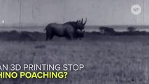 Can 3D Printing Save The Rhinos?