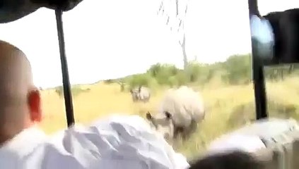 Rhino Charging - African Safari