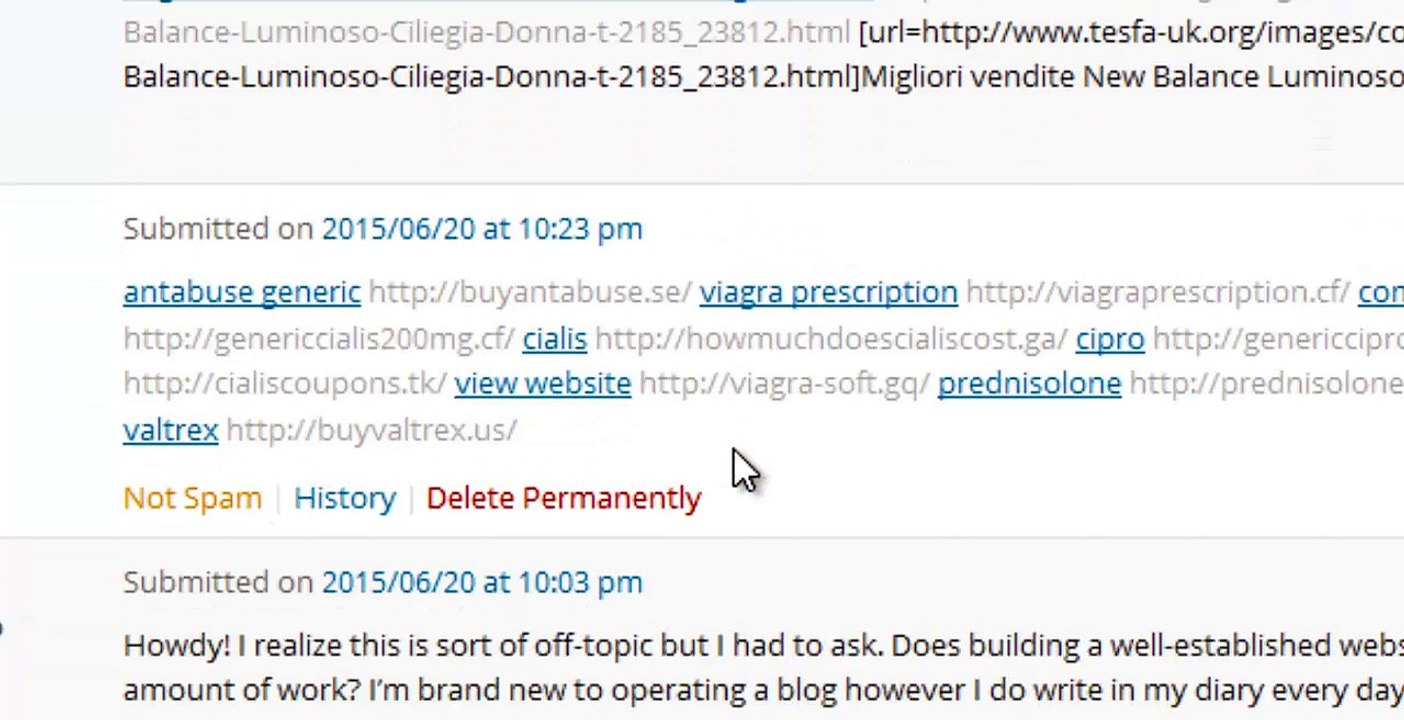How to setup Akismet WordPress plugin - Urdu video Tutorial