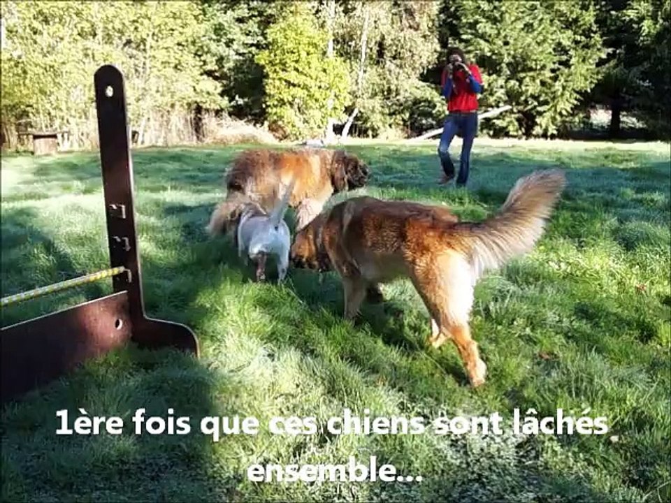 Les jolies colonies de vacances chez Y'a pas d'os !