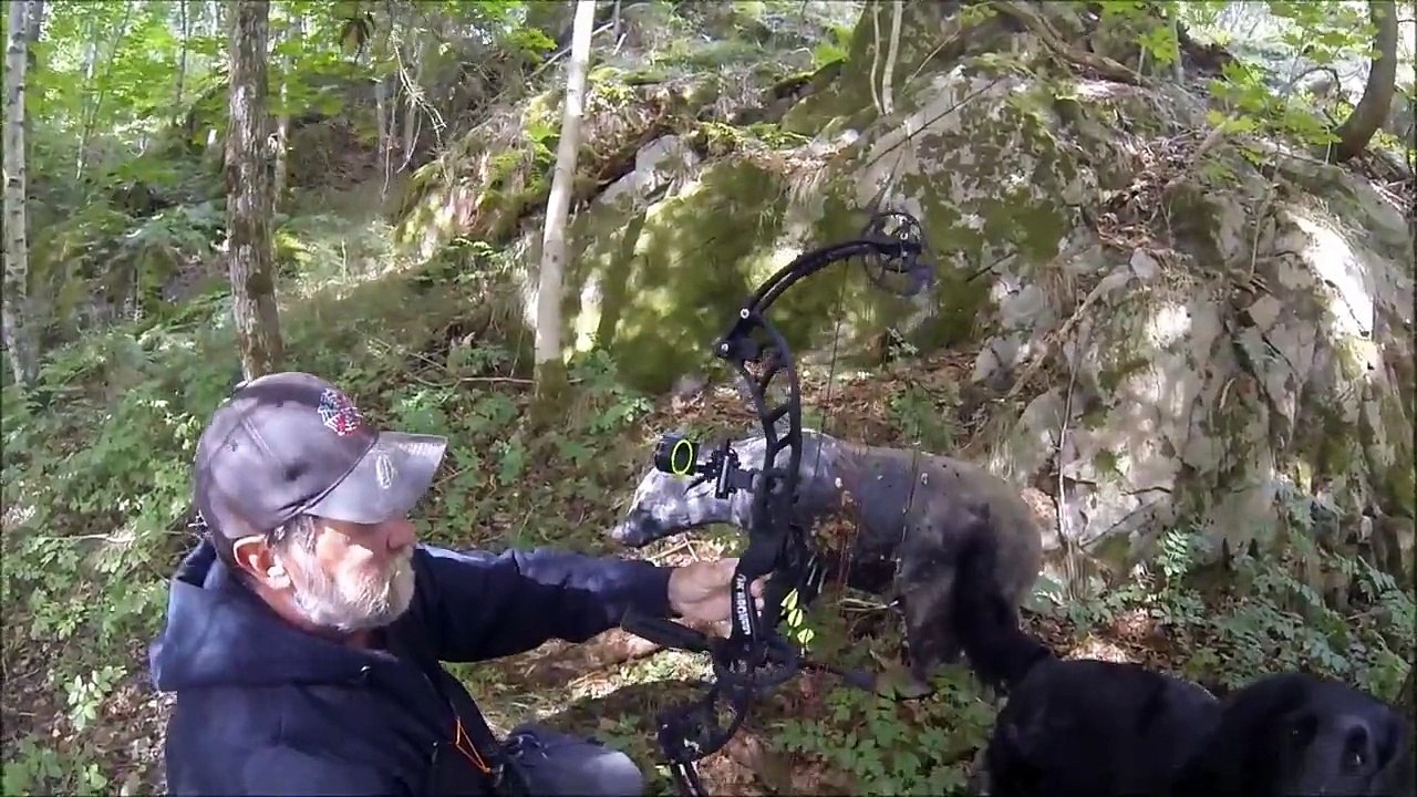 Shoot Test OK-Archery Smoke Hunting Bow