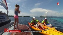 La posidonie, une plante essentielle à la Méditerranée