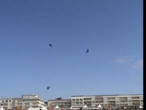 Cerf-volant Berck 2006 Tame Bird