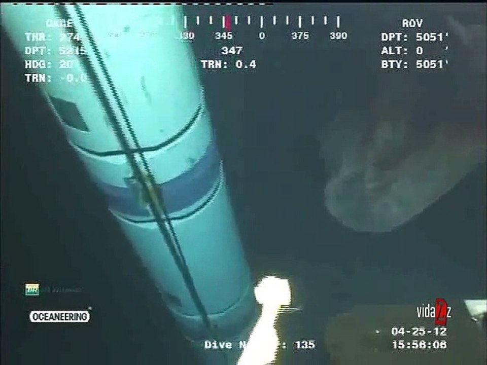 Extraño bicho en las profundidades del mar - Alien OVNI UFO
