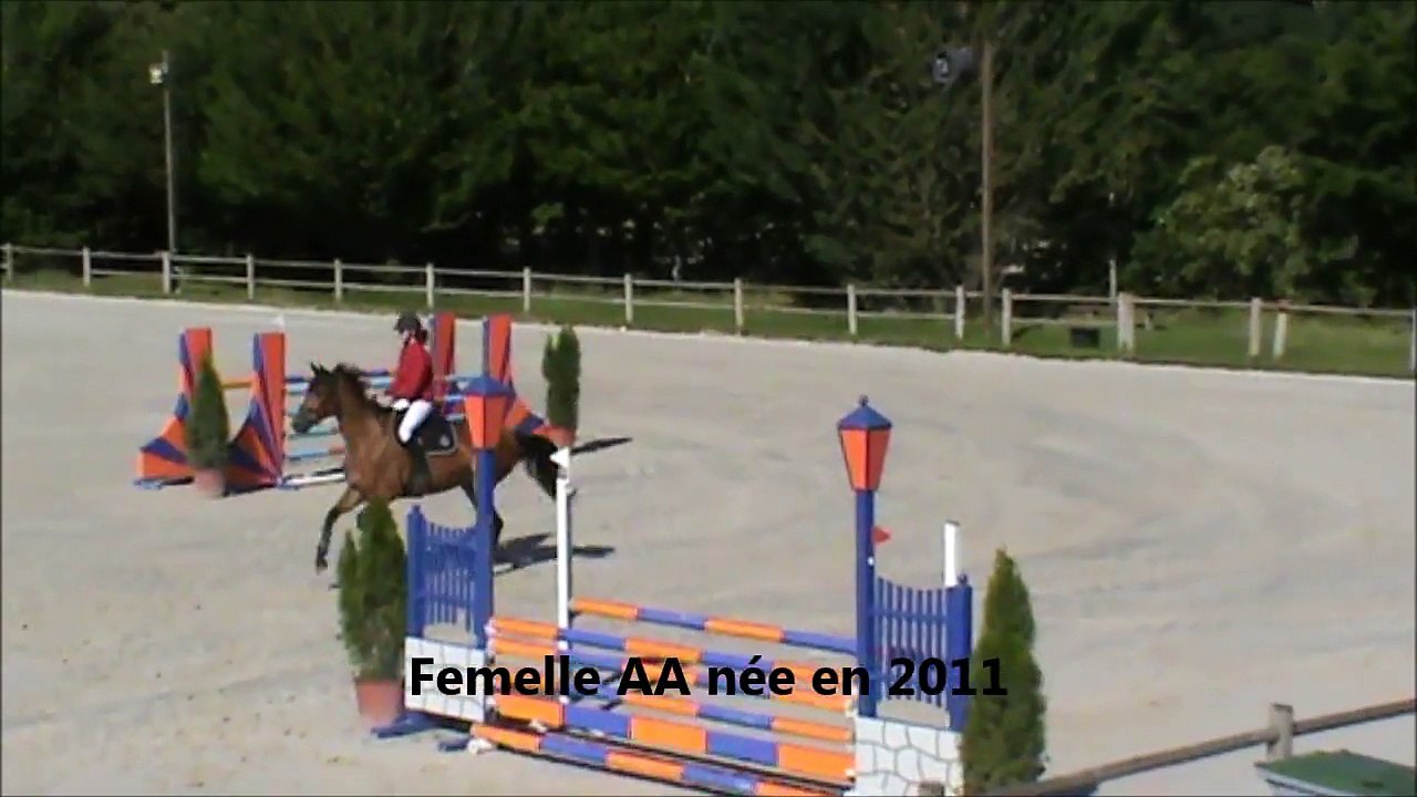 Arabesque CSO Sandillon 20150623