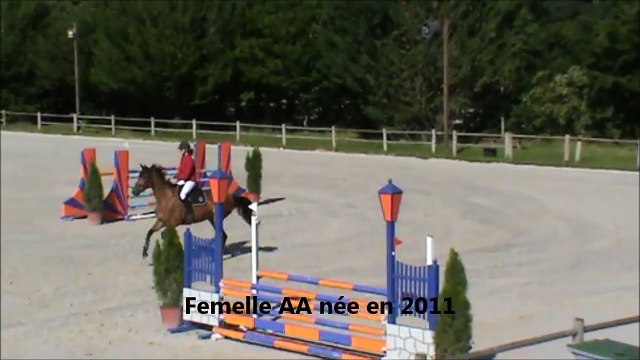 Arabesque CSO Sandillon 20150623