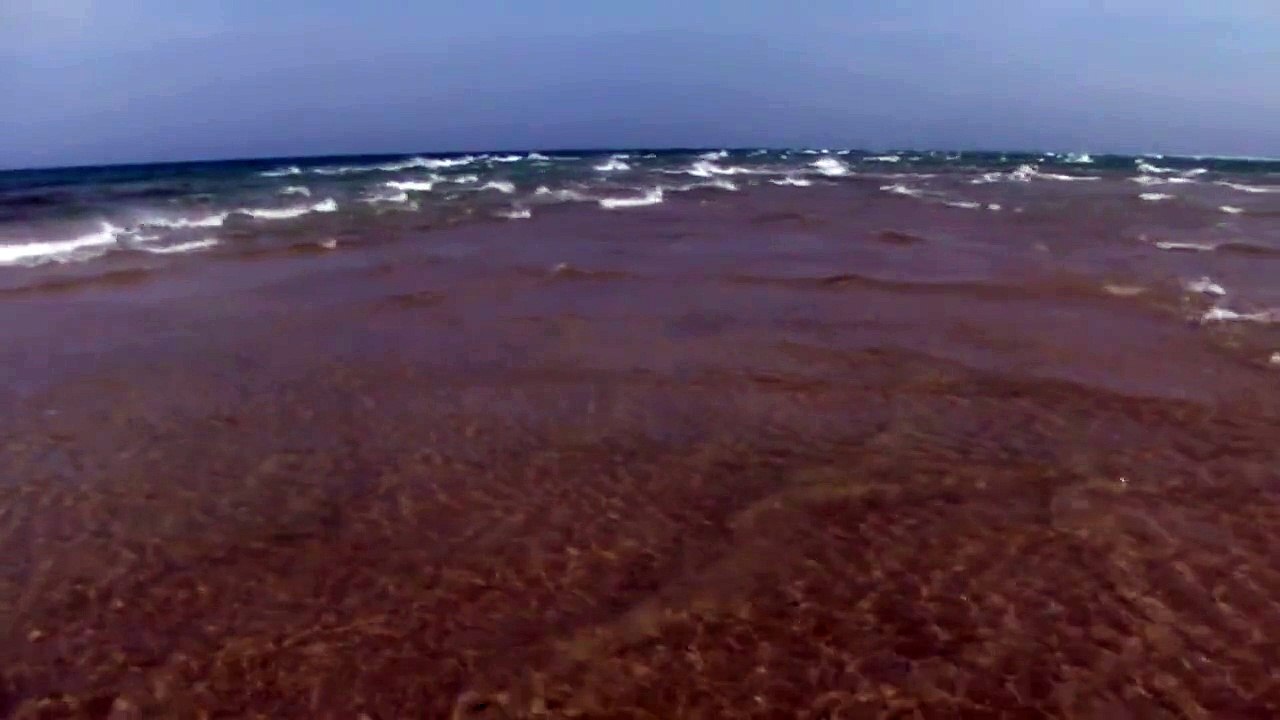 North sea X Baltic sea