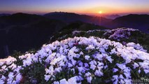 Time lapse  Taiwan  Spring in mountains HD