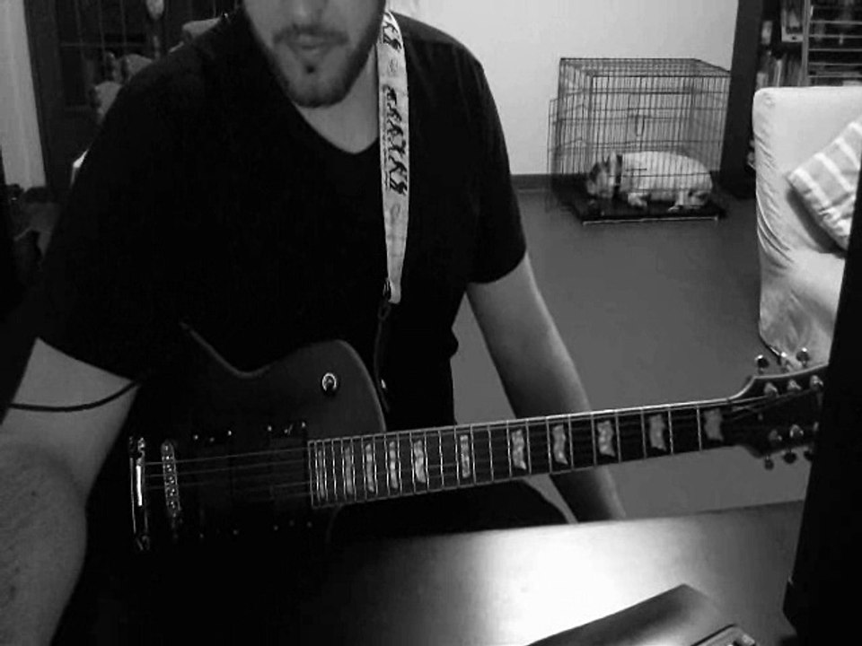 Lindemann : Praise Abort Guitar Cover