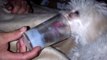 Dog Eats Ice Cream - Sticks Head in Glass