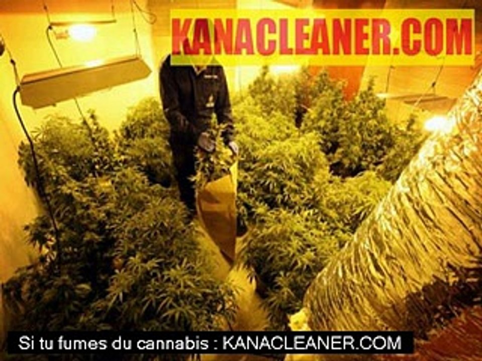 Espagne : cannabis et maison close