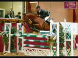 3 Days Grace-Pain Horses Jumping & Dressage Pictures