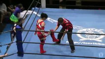 {Ice Ribbon} Mari Anne Vs. Yuuka (6/21/15)