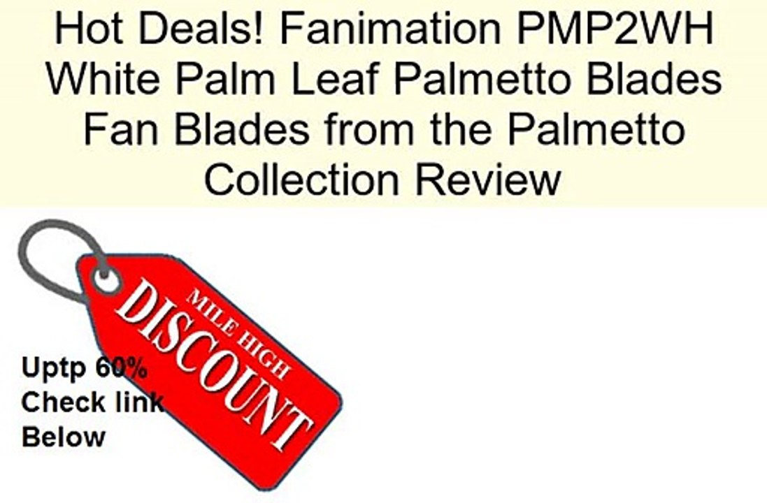 Fanimation PMP2WH White Palm Leaf Palmetto Blades Fan Blades from the Palmetto Collection Review