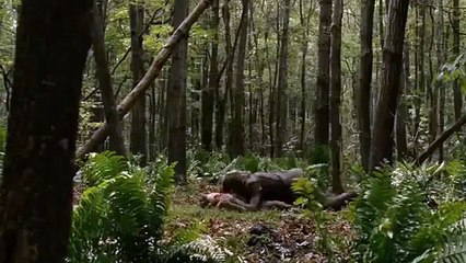 Emma Watson Kissing Scene in Noah