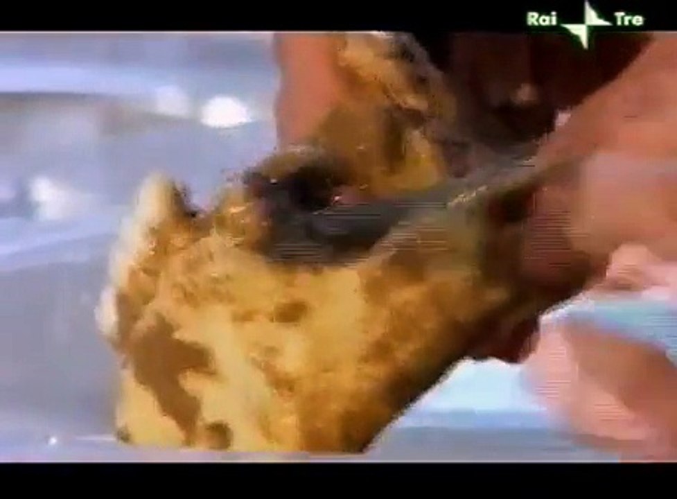 EVOLUZIONE DELL'UOMO A004 Le prime impronte, Lucy, fossili processo e ricerca di