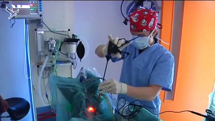 Omroep Flevoland - Dierenziekenhuis Almere