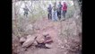 Hallados 10 cadáveres en fosas clandestinas en México
